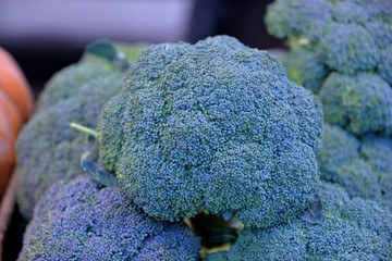 Brocoli