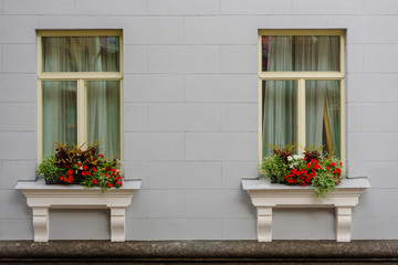 Facade of gray house with beautiful red flowers in a pot