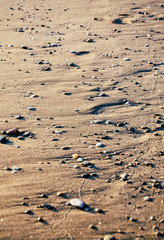 Pebbles at the beach during sunset