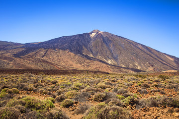 Fototapeta premium Beautiful landscape of Teide national park, Tenerife, Canary island, Spain