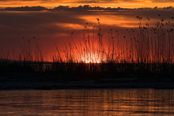 lake of constance during sunset