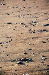 Fototapeta na wymiar Pebbles at the beach during sunset