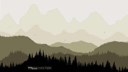 Quiet background. Fir forest, on the horizon of the mountain. Yellow tone. Sunset. Recreation. Birds fly.
