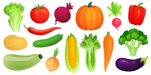 Légumes de dessin animé. Légumes végétaliens frais, courgettes vertes crues et céleri. Ensemble d& 39 illustrations vectorielles de laitue, de tomate et de carotte
