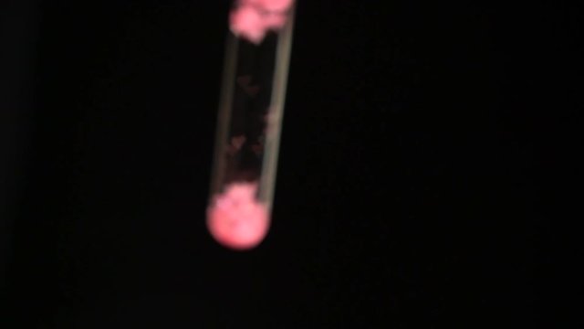 Rotation of the test tube with liquid and shiny pink particles on a black background. Heart shaped bokeh flickers. Cooking elixir of love in slow motion. Chemistry of love.