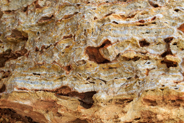  Rock, layeres structure, warm brown, yellow, red shades.