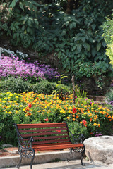Fototapeta na wymiar Garden bench in the park flower colorful image background.