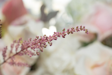 Macro delicate pink flower branch. Wedding fresh flowers decoration