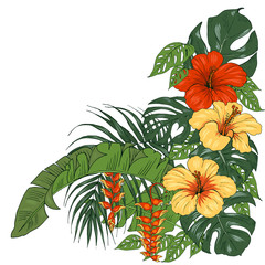 Tropical plants and flowers, palm and monstera leaves, hibiscus and Heliconia flowers, vector illustration © Miny
