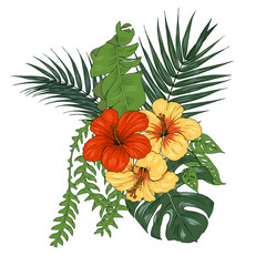 Tropical plants and flowers, palm and monstera leaves, hibiscus flowers, vector illustration