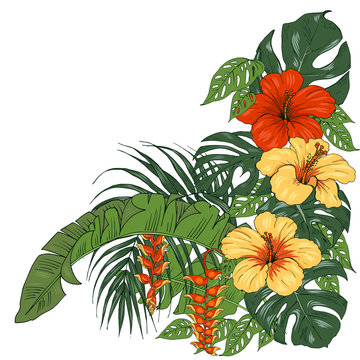 Tropical plants and flowers, palm and monstera leaves, hibiscus and Heliconia flowers, vector illustration