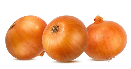 Fresh onion isolated on white background  with clipping path