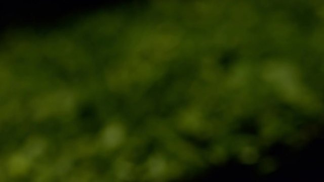 Focus on fresh green chopped parsley leaves on black background.