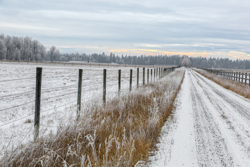 Country road with wire fence in early morning winter in northwest montana