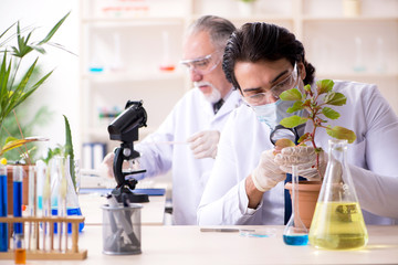 Two chemists working in the lab