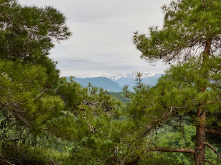 Obraz na płótnie Canvas View of the high mountains with snowy peaks through the frame of pines