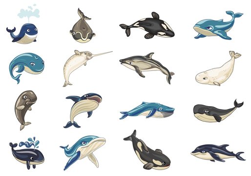 Whale icons set. Cartoon set of whale vector icons for web design