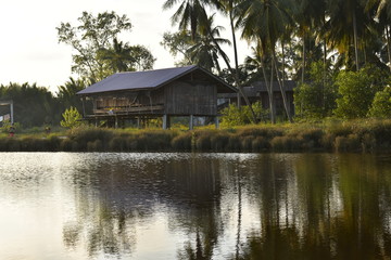 Fototapeta premium house near the lake