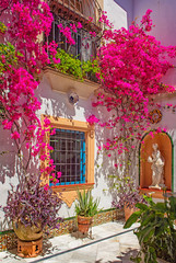 Fototapeta na wymiar Nice patio with flowers in Cordoba, Spain