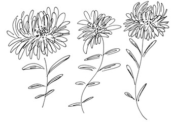 Hand Drawn Vector Illustrations Of Abstract Set of Flowers Isolated on White. Hand Drawn Sketch of a Flowers