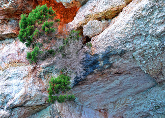 Rock wall with moss