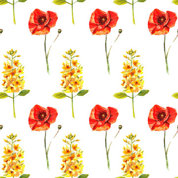 Seamless pattern with watercolour hand painted poppies and eremurus