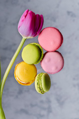 Colorful french macarons, almonds and tulips. Spring, womens day , desserts concept