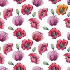 Watercolor seamless pattern with wild red poppies on white background. Surface design for interior decoration, textile printing, printed issues, invitation cards