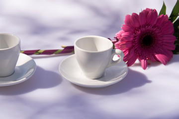 Fototapeta na wymiar White cup for coffee, sugar and pink flower
