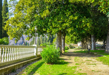 Fototapeta na wymiar A small park near the monastery in New Athos