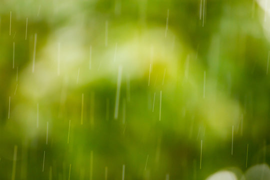 Rain drops on green backgrund