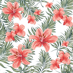 Roses. Blooming spring-summer flowers plants.  Vector image.