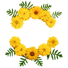 Circle frame of yellow flowers isolated