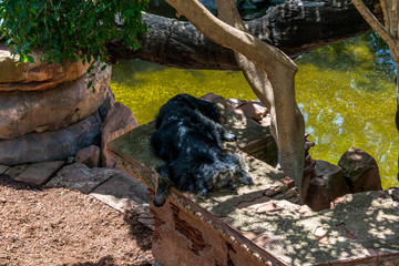 Zoo