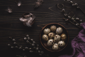 Organic quail eggs in wooden bowl and pussy willow branches on dark wooden background. 