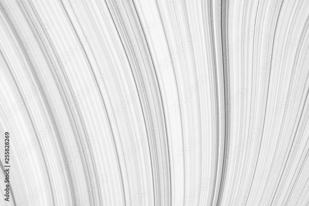 Poster abstract white background with smooth lines