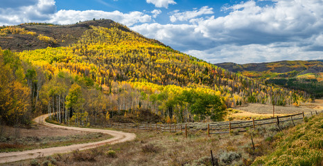 Fototapeta na wymiar Autumn Back roads in Colorado - Grand County Road 47