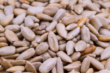 background of sunflower seeds
