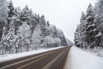 Fototapeta premium road in winter forest