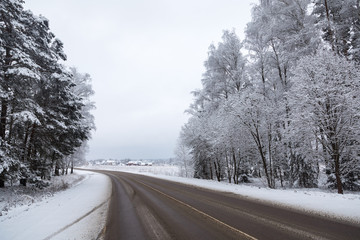 Obraz premium road in winter forest