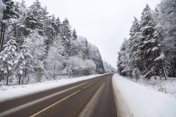 road in winter forest