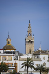 Fototapeta na wymiar The Giralda tower, Seville