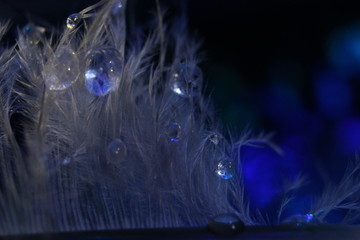 abstract blue background with lots of light spots