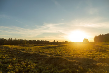 sunset over the field