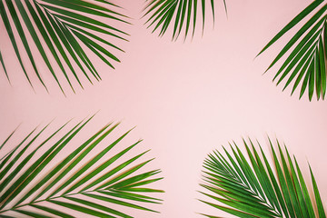 Fototapeta na wymiar Tropical green palm leaves on pastel pink background. Minimal nature summer concept. Top view, flat lay, copy space.