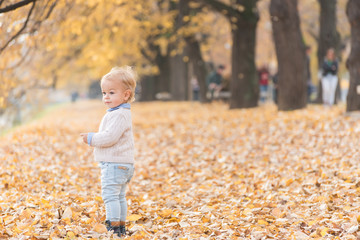 Beautiful baby boy posing at the park. Autumn season.