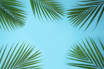 Fototapeta na wymiar Tropical green palm leaves on blue background. Minimal nature summer concept. Top view, flat lay, copy space.
