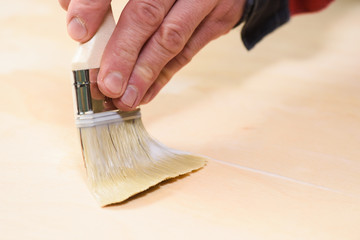 Carpenter at work. Close up of covering wooden surface with acryl lacquer