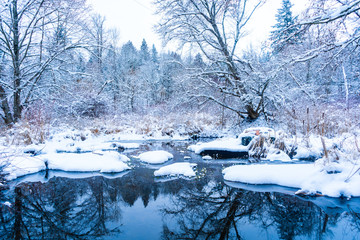 Snowfall on a creek lake with stones after a snowstorm in Vancouver (Delta) BC, at Burns Bog. Snowy...