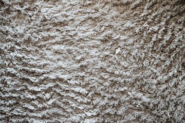close up on carpet background or texture, top view